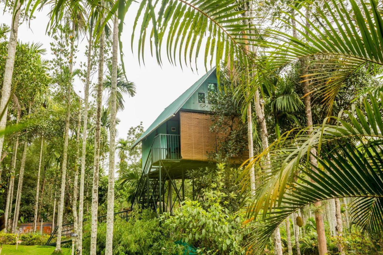 Kedara Village Sultan Bathery Exterior photo